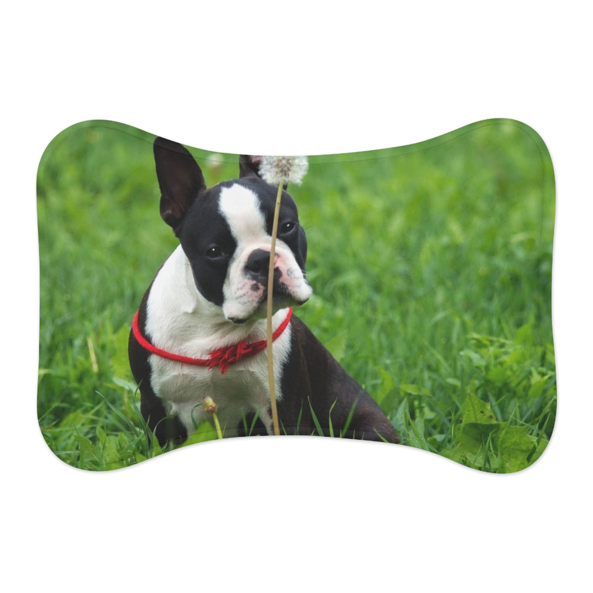 Pet Feeding Mats, boston terrier,